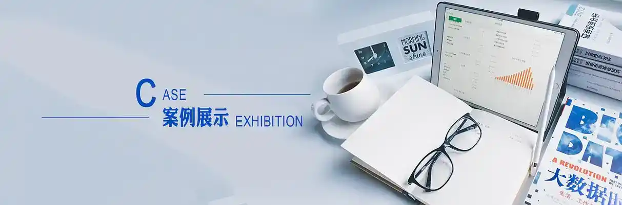 保康县软件开发